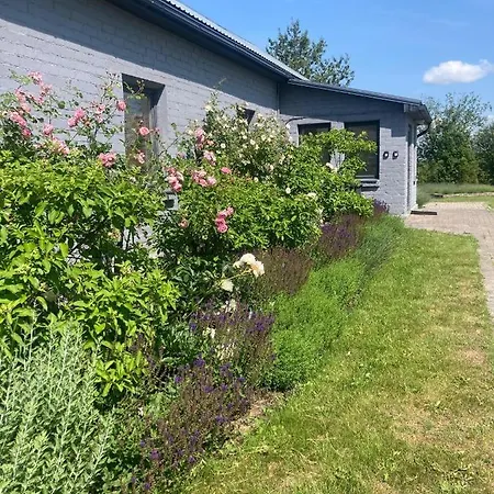 Viesu māja Lillaslavender Kurzeme Osenieki